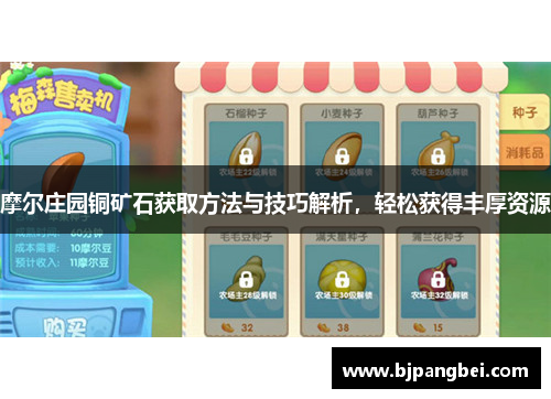 摩尔庄园铜矿石获取方法与技巧解析，轻松获得丰厚资源